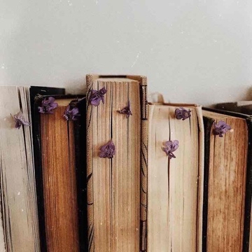 comfortbooks_c's profile