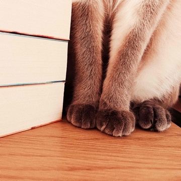 vics_bookworld's profile