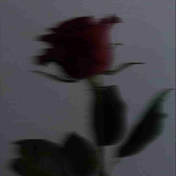 maike_loves_books's profile
