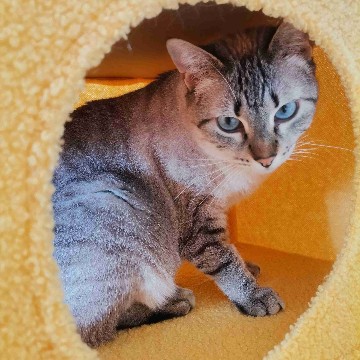 svefee1997's profile