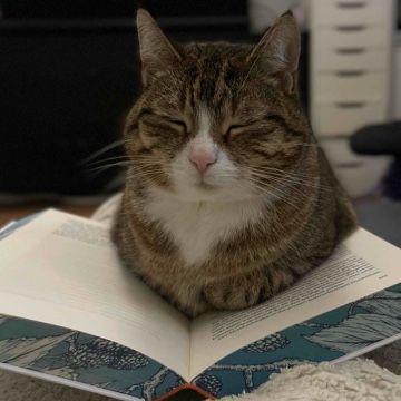 mastemea's profile