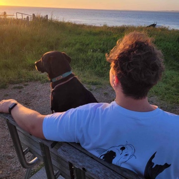 kollo's profile