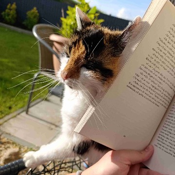 ninaxkuttner's profile
