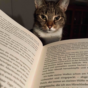 crazycatlady's profile