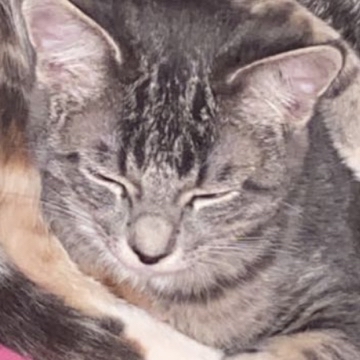 mushu0's profile