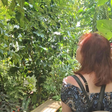 seelenzeilen's profile