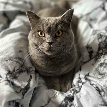 jsminstefanie's profile