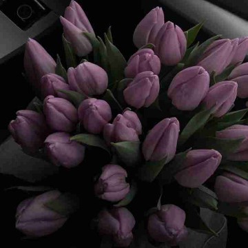 carolin.dgb