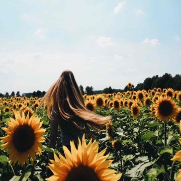 lilis.journal's profile