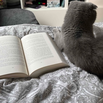 anja.fox's profile