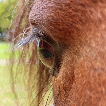 nane_.2008's profile