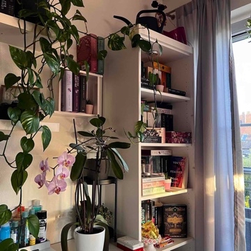 xosteffiox's profile