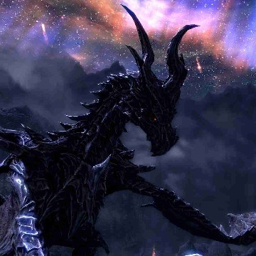 drachenblut's profile