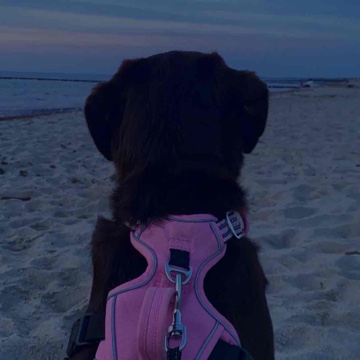 lenooobenoooo's profile