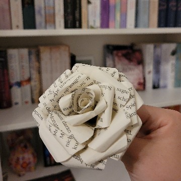 my.world.of.books's profile