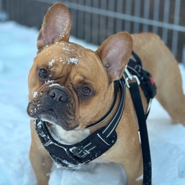 caro_nekora's profile