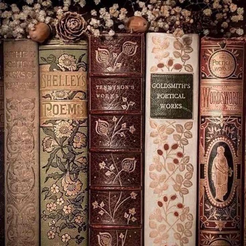 tammi_booklover's profile