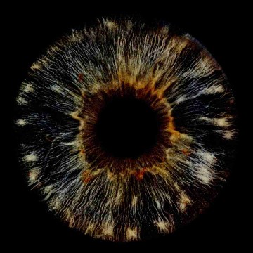iris_elisa's profile