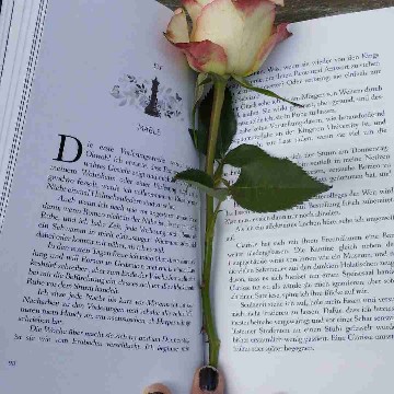 booklove.lena's profile