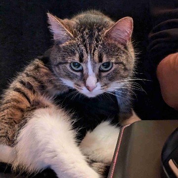 zabrina's profile