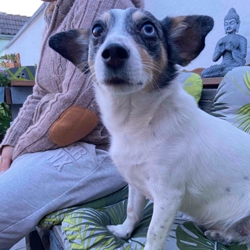 frances.caesar's profile
