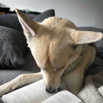 buschwindrose's profile