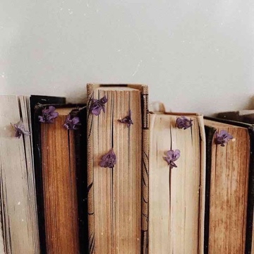 lovebooks_15's profile