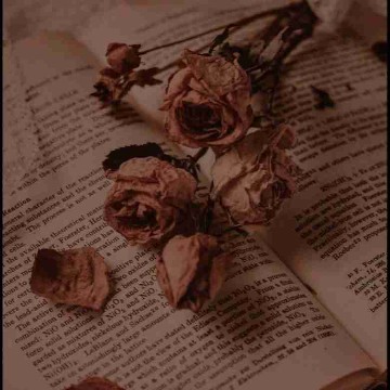bookwurmforever's profile