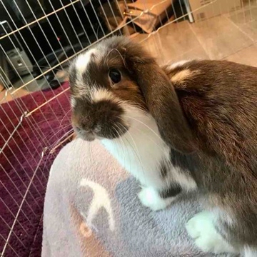 rabby's profile