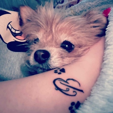skadiswalkuere's profile