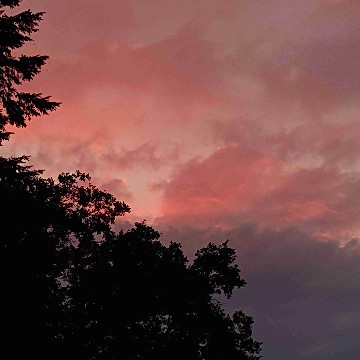 little_dove's profile