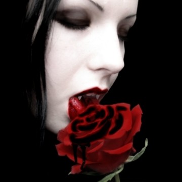 dorisbookdreams's profile