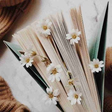 bookworminyou_'s profile