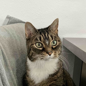 leloop's profile