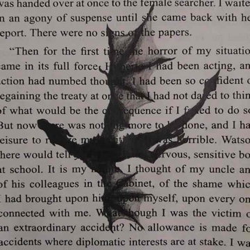 booklover_sophia's profile