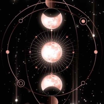 moonshine.reader's profile