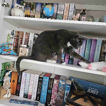 lilithya's profile