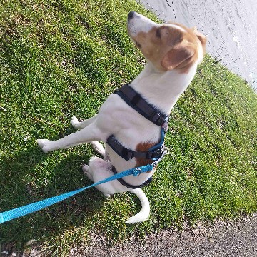 puppe91's profile