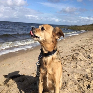 simmy's profile