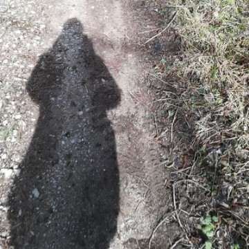 nenatie's profile