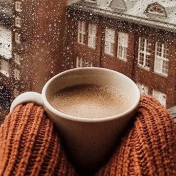 the_bookish_aesthetics's profile
