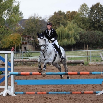 schimmellady's profile