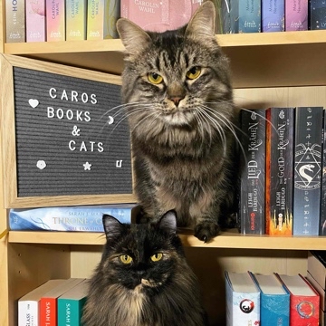 caros_books_and_cats's profile