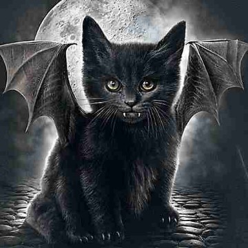 carmencat666's profile