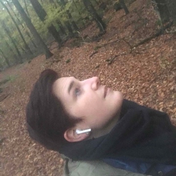 niesje's profile