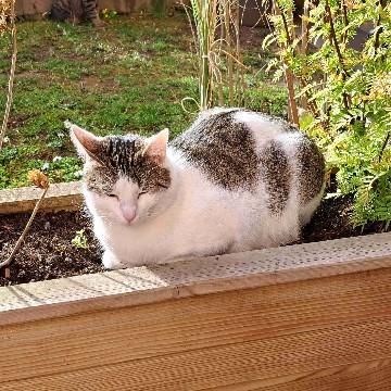 maalzeit's profile