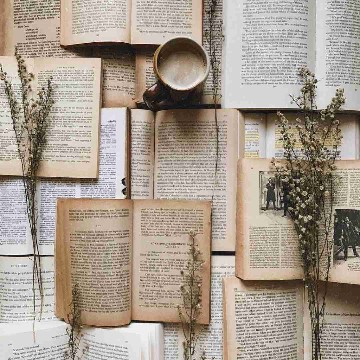_lous.bookpalace_'s profile
