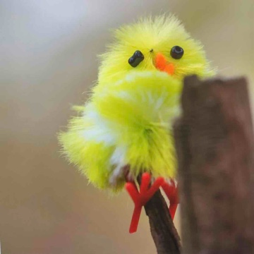 lesehuhn's profile