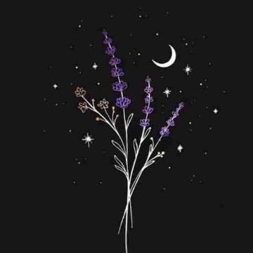 selfless_reader's profile