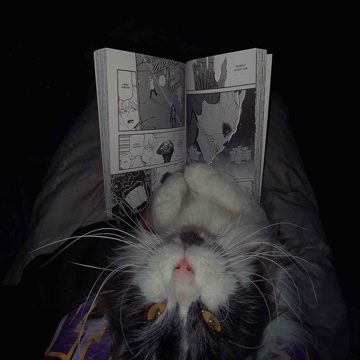 leopoldinchen's profile